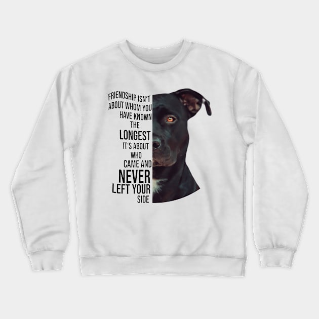 Pitbull Design Crewneck Sweatshirt by funkyteesfunny